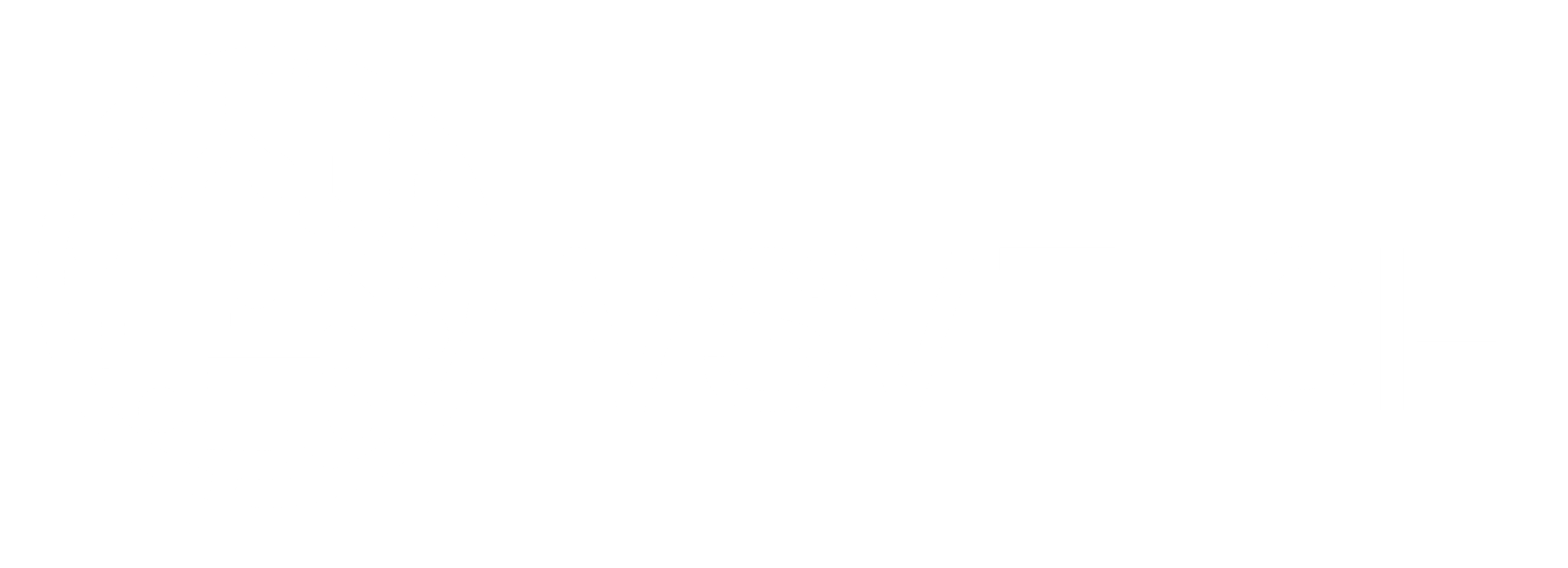 VSV Tech